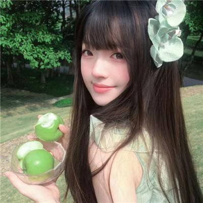 小森林2018